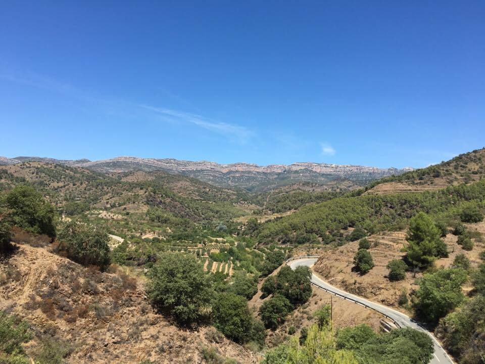 Más allá de los Rioja y Rivera del Duero: D.O. Priorat