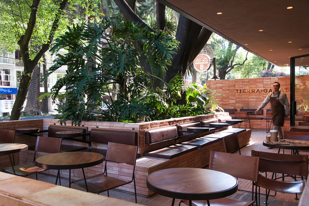 Las cafeterías más acogedoras de Polanco