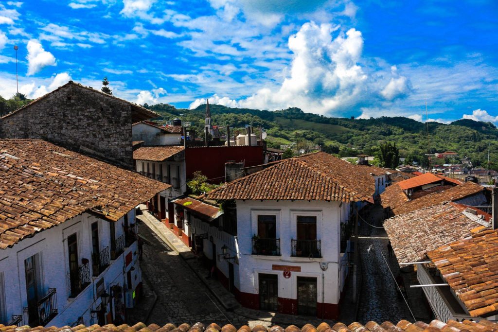 5 destinos que tienes que visitar en México si eres amante del café