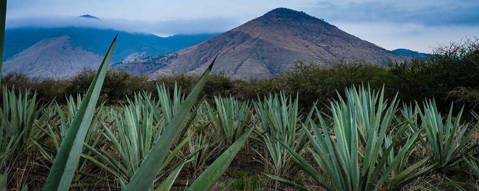 Casa Titlán abre su primer espacio dedicado al mezcal en la Condesa