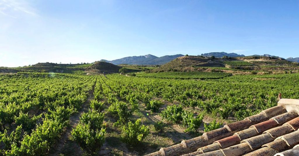 Izadi: Un regalo vinícola de la naturaleza