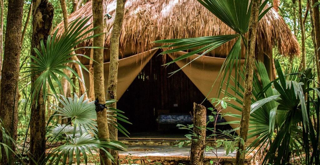 6 hoteles ‘eco-friendly’ en México que amamos (buenos, bonitos y a excelente precio)