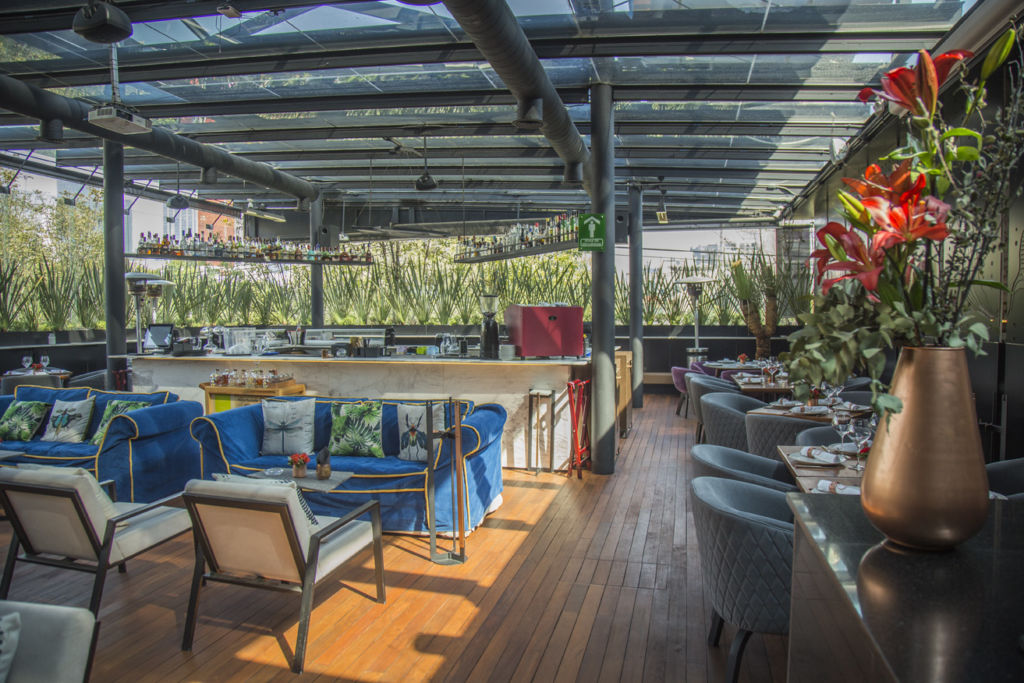 Sepia: Cocina italiana genuina con ingredientes frescos mexicanos en la colonia Roma