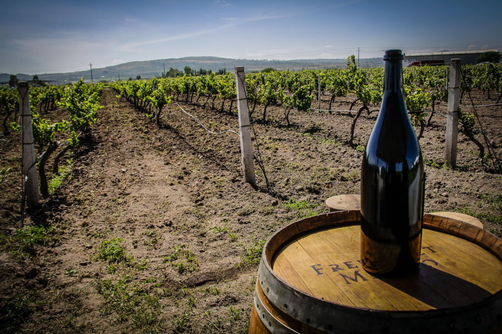 Bubbles Fest 2019: El festival de vino espumoso que no te puedes perder en Querétaro