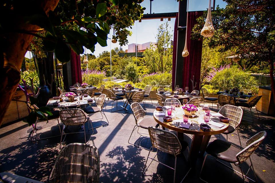 10 espectaculares terrazas para disfrutar de una copa de vino en la CDMX