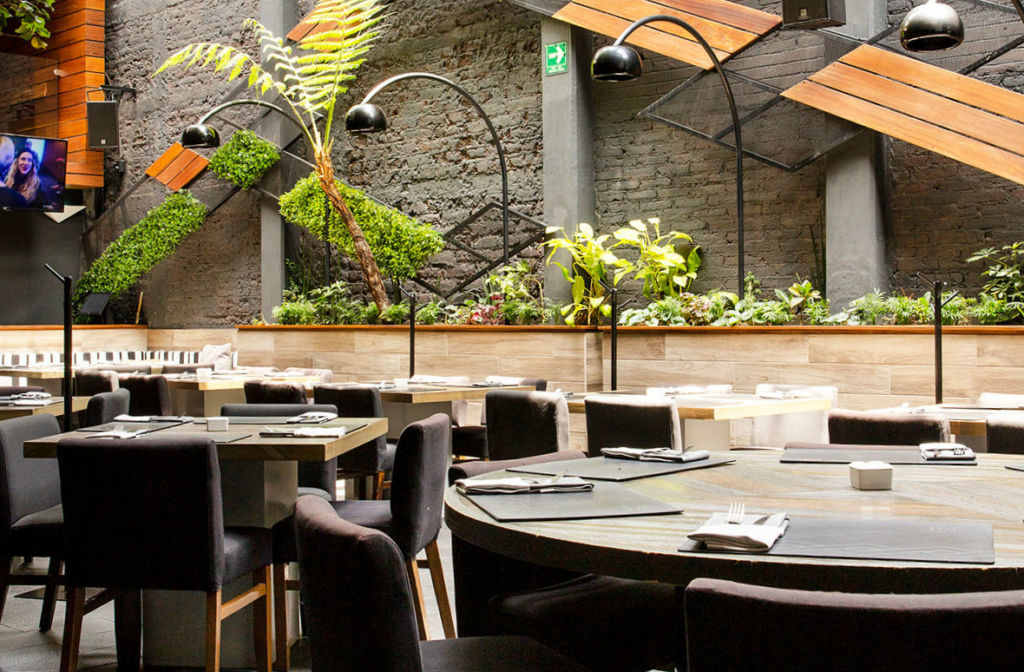 Nacional 6: el patio oculto de San Ángel en donde se come y se bebe delicioso