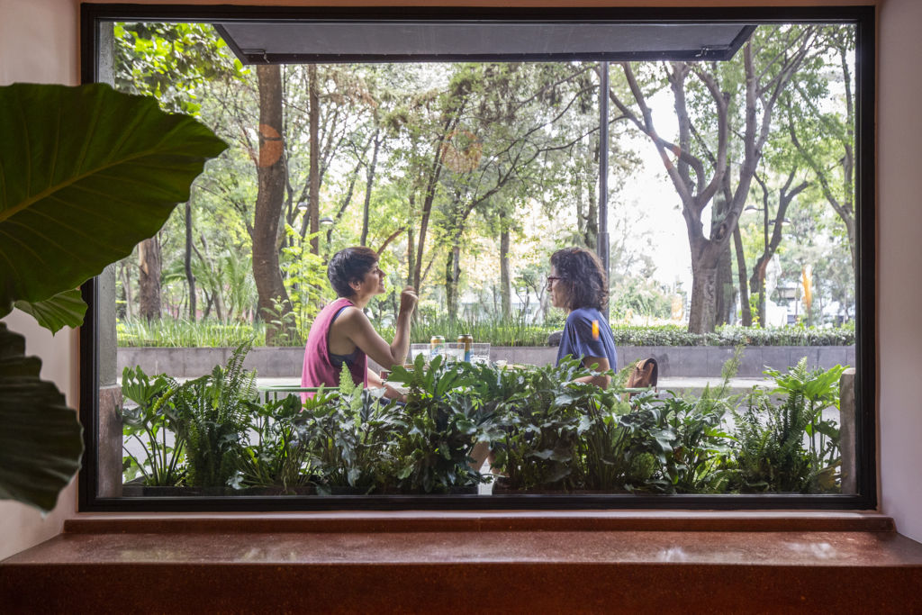 ¿Salida sin alcohol? Te compartimos 7 spots al aire libre para probar unos ‘mocktails’ refrescantes en la CDMX