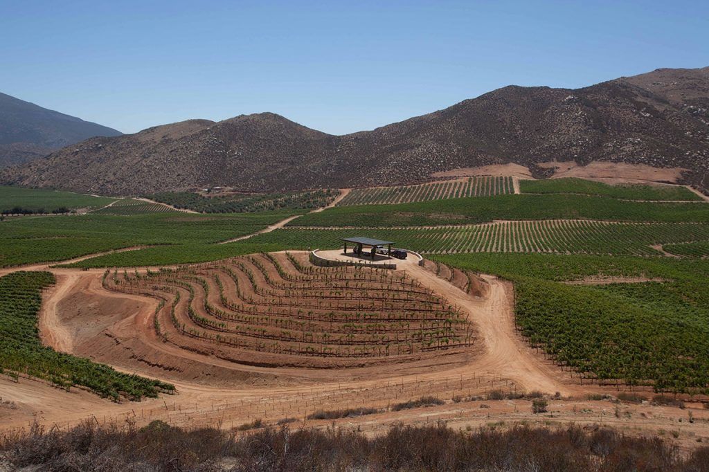 8 preciosos viñedos que tienes que visitar en México