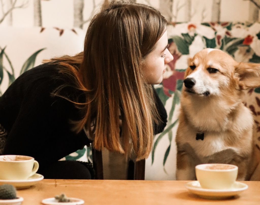 6 planes ‘pet friendly’ para consentir a tu perro en la CDMX