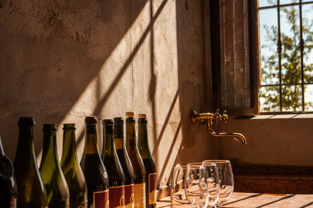 6 datos de los vinos orgánicos que tienes que conocer