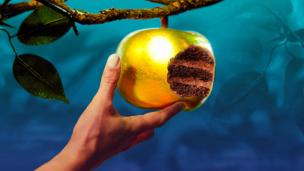 7 ‘reality shows’ en Netflix que no sabías que existían, pero que te encantarán