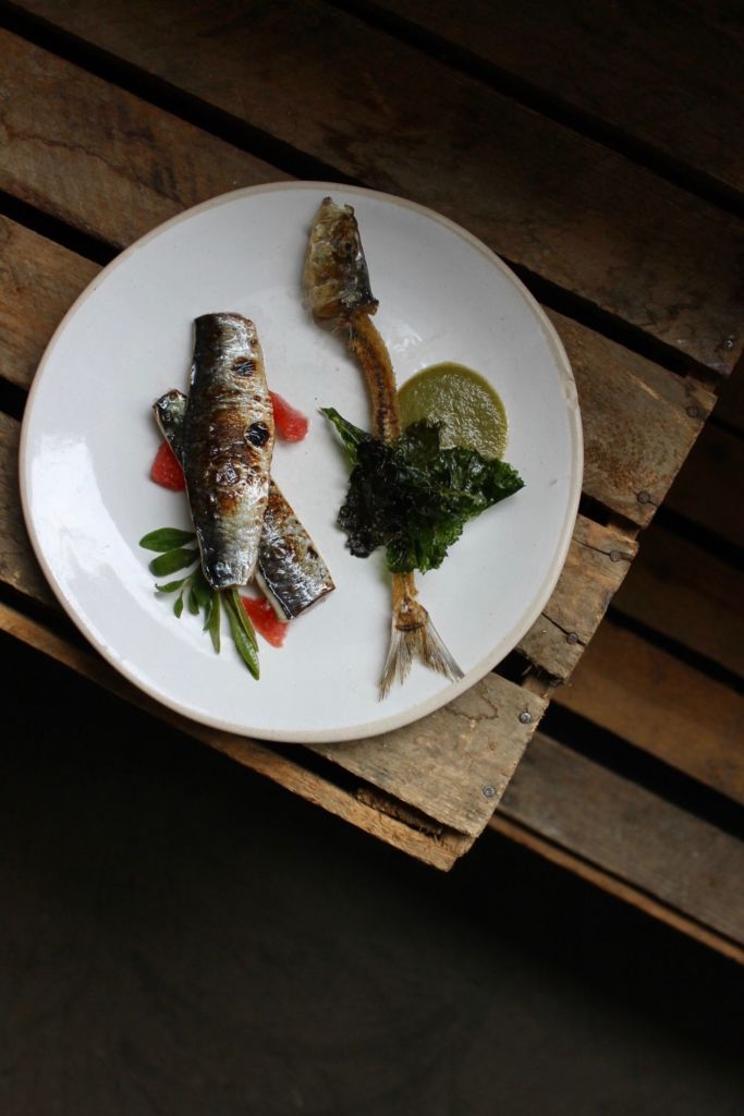 flavo-el-nuevo-pop-up-en-cdmx