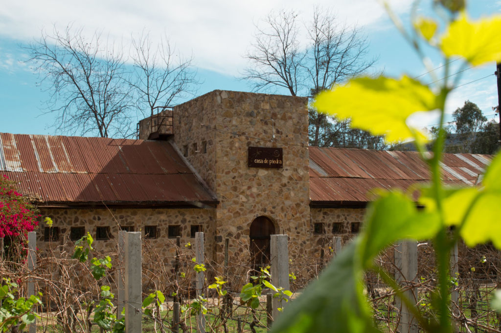 Road trip para conocer el vino mexicano de la mano de Hugo D’Acosta