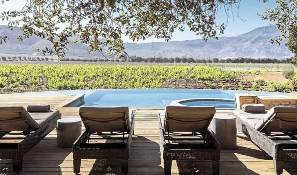 7 hoteles dentro de viñedos en México (lejos de todo, con grandes vistas y buen vino)