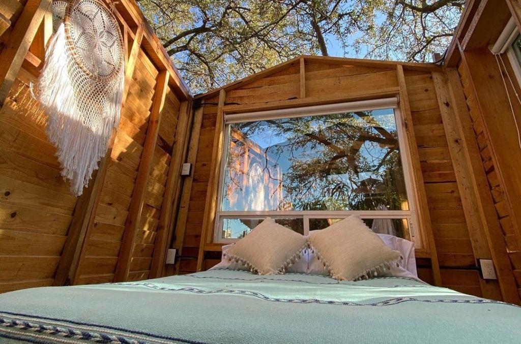 Descubre por qué todos se quieren hospedar en esta casa del árbol sin techo de Oaxaca