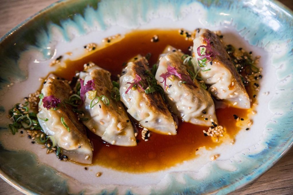 6 restaurantes para comer gyozas muy originales en la CDMX