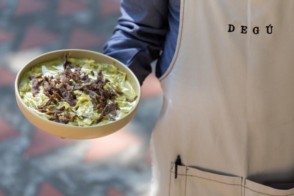 degu-comfot-food-desayunos