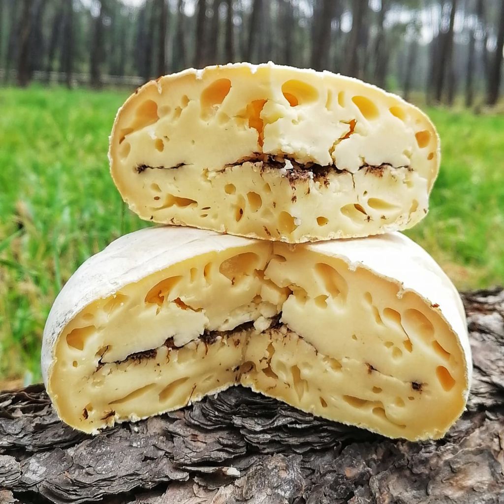 queso-cuatro-encinos