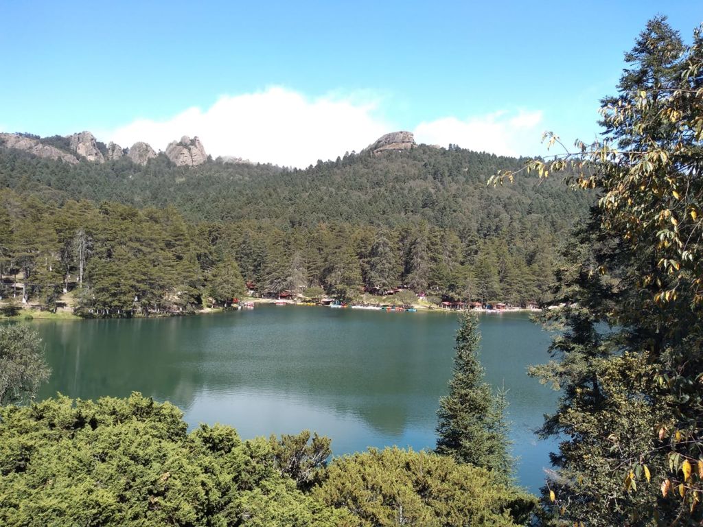 el-cedral-presa