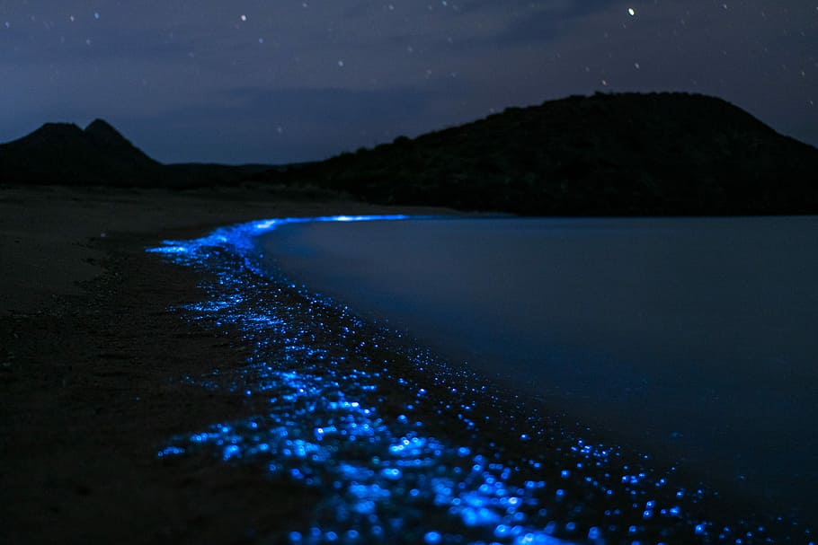 5 lugares con bioluminiscencia en México que debes visitar al menos una vez