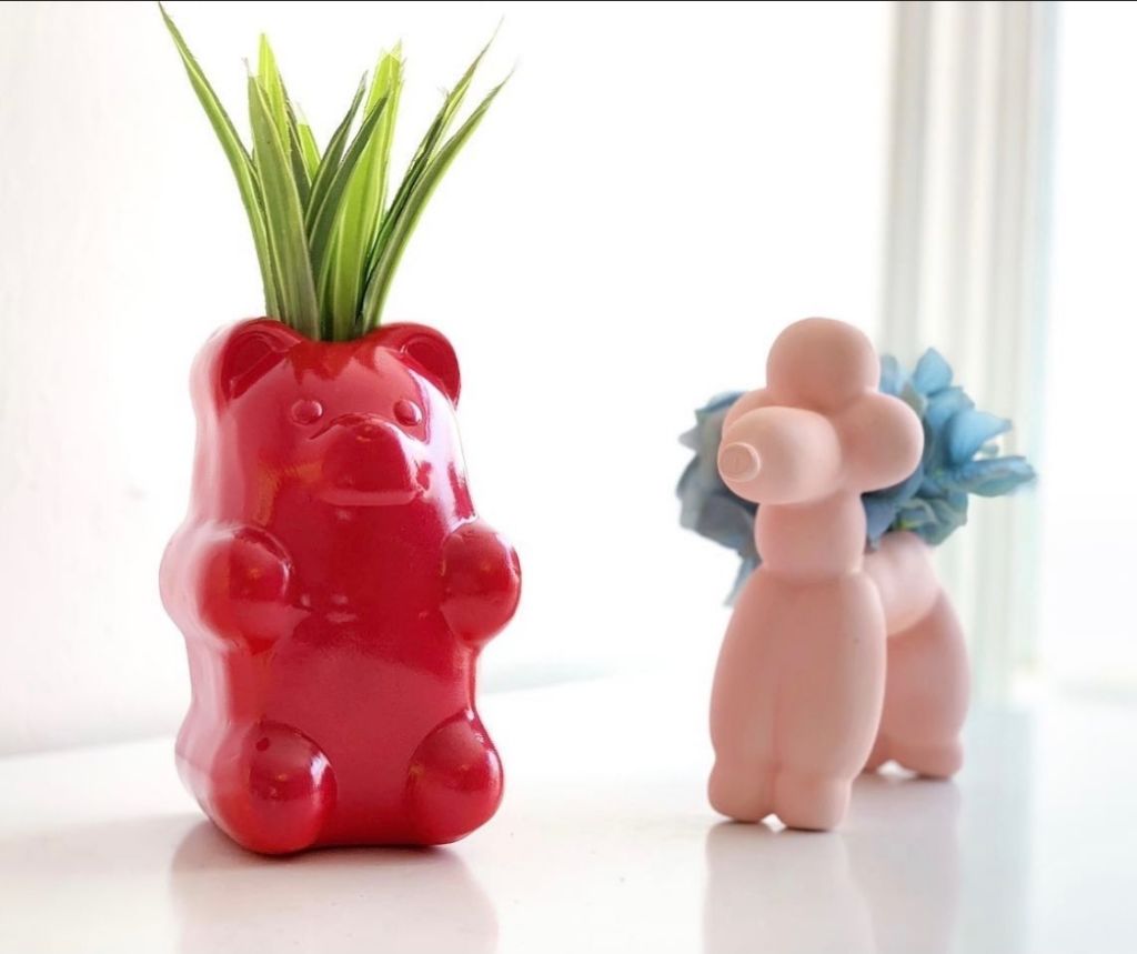 amor-vegetal-plantas