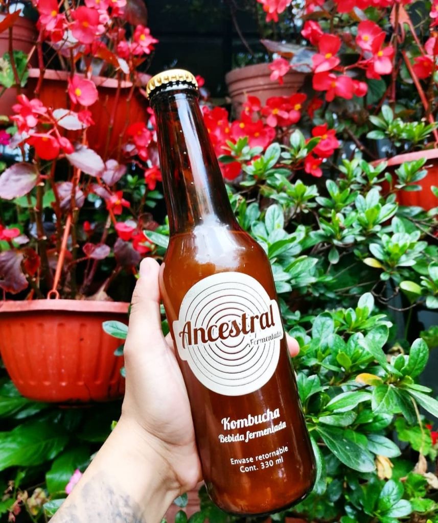 ancestral-kombucha