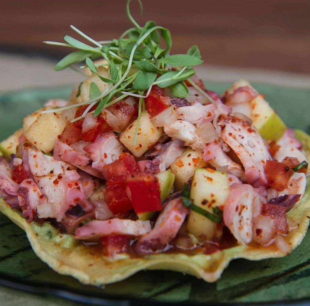 bello-puerto-polanco