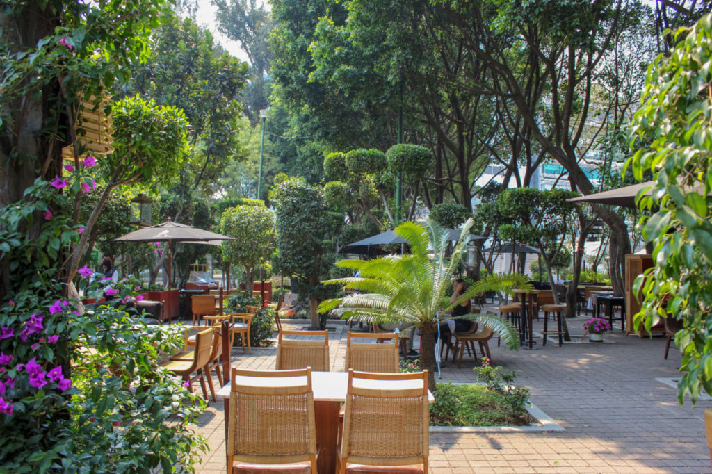 Bosque Gourmet: el nuevo espacio al aire libre donde se reúnen algunos de los restaurantes más ‘top’ de la CDMX
