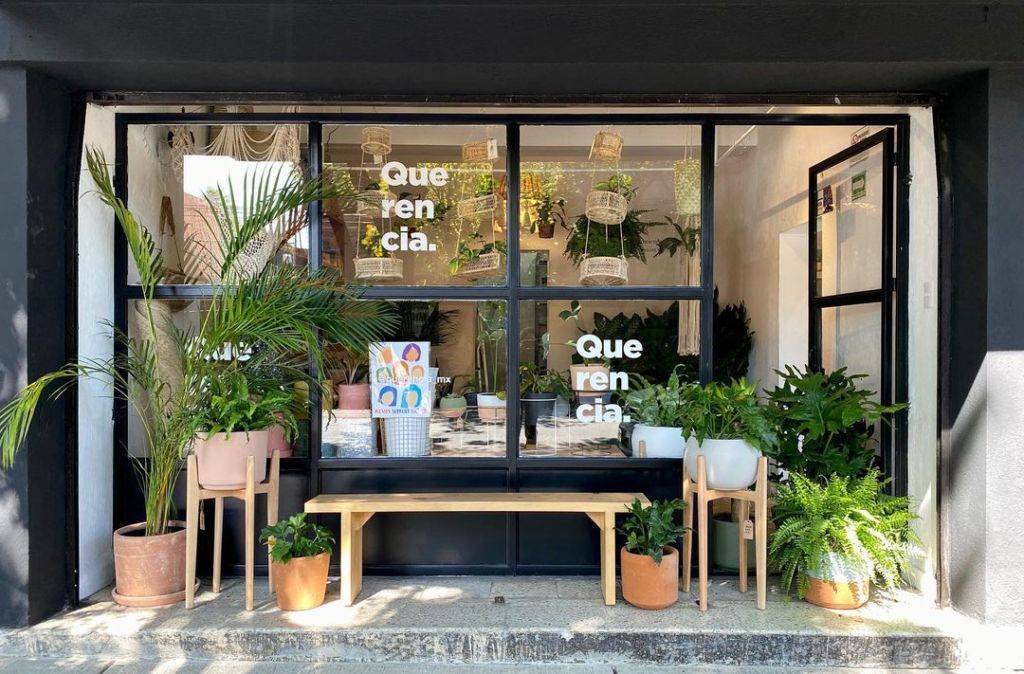 7 lugares donde podrás comprar las plantas más bonitas para decorar tu ‘depa’