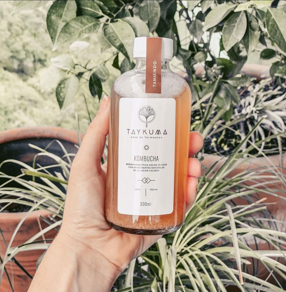 kombucha-taykuma