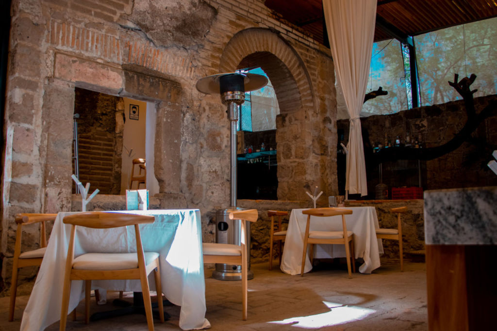 mezquite-aguascalientes