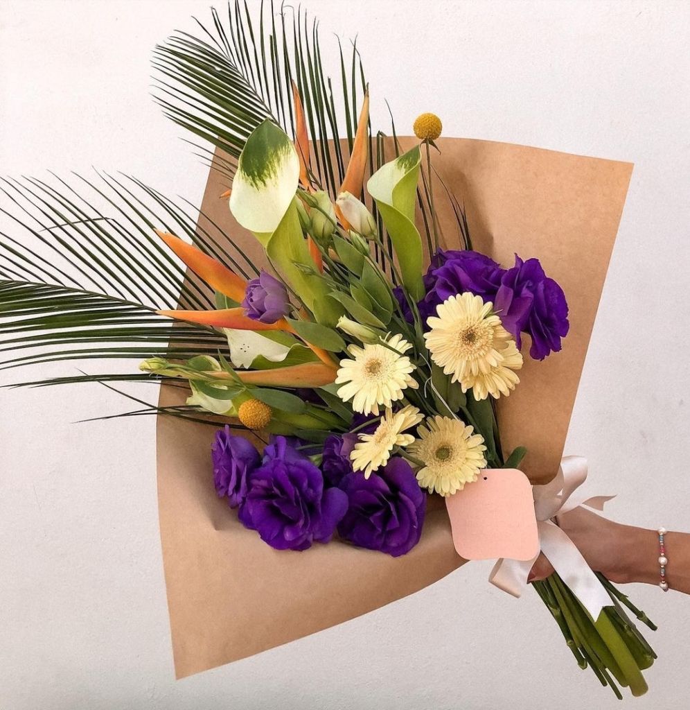 pequeno-jardin-plantas