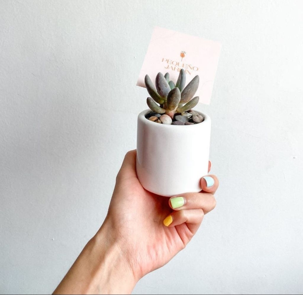 pequeno-jardin-plantas