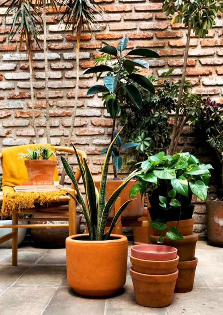 plantas-house-cdmx
