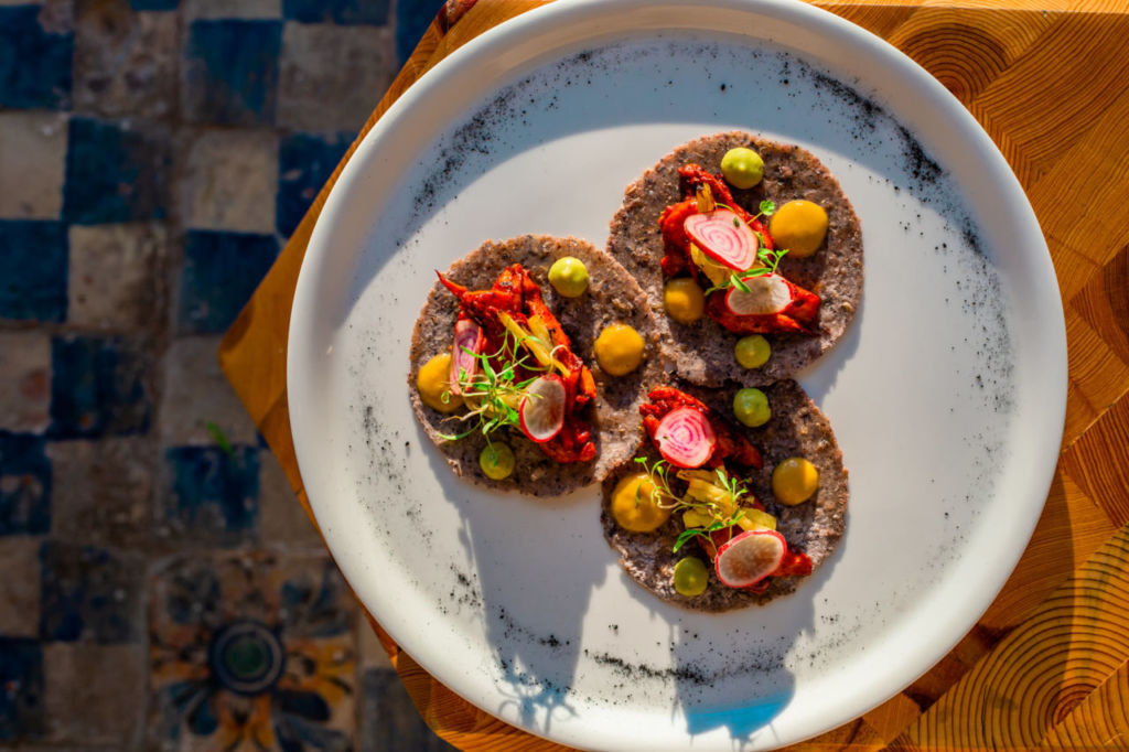 platillos-mezquite-aguascalientes