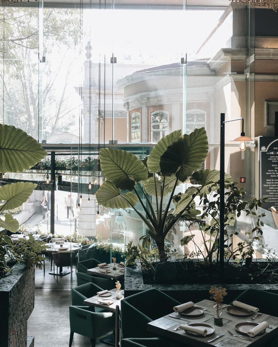 Restaurantes históricos en la Roma