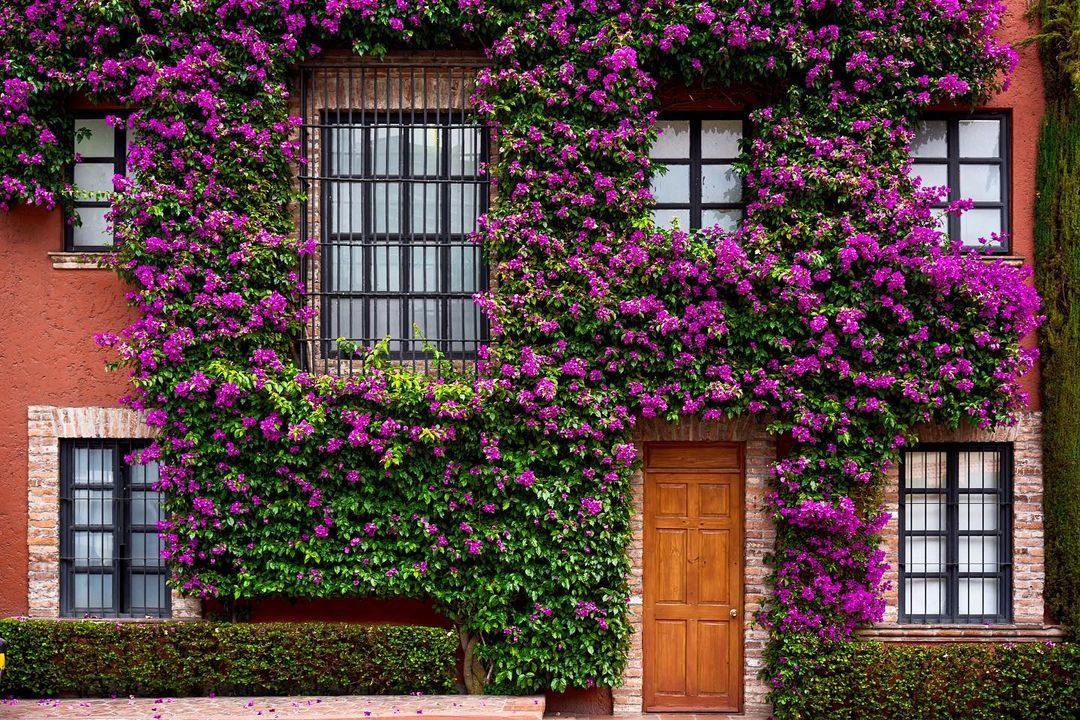 Restaurantes y haciendas en la CDMX