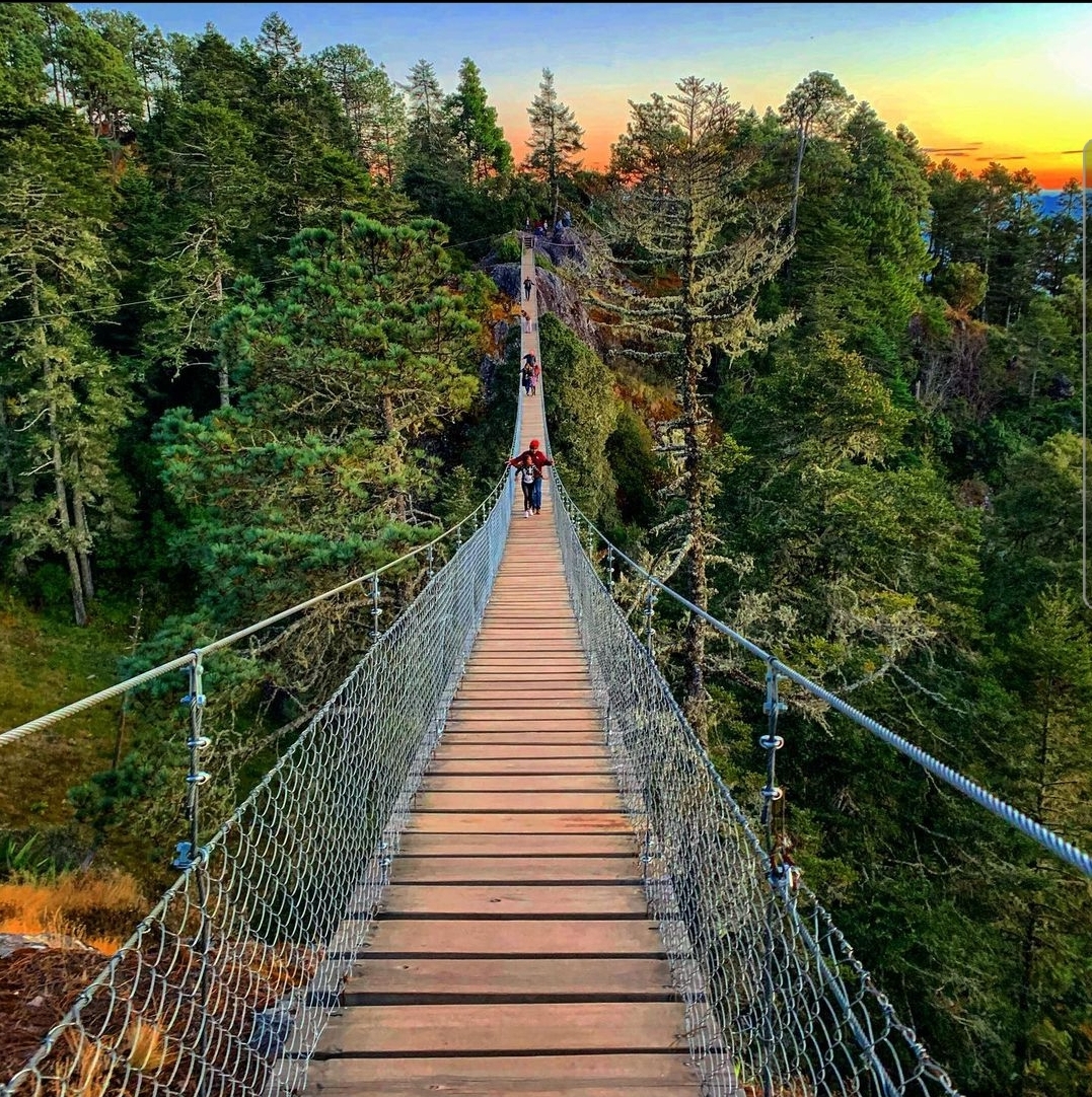 Sintético 101+ Imagen De Fondo Parque Del Puente Colgante De Capilano