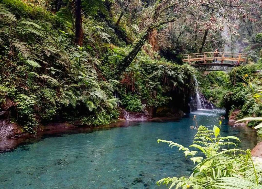 Pancho Poza, un paraíso de aguas turquesa a menos de 4 horas de la CDMX