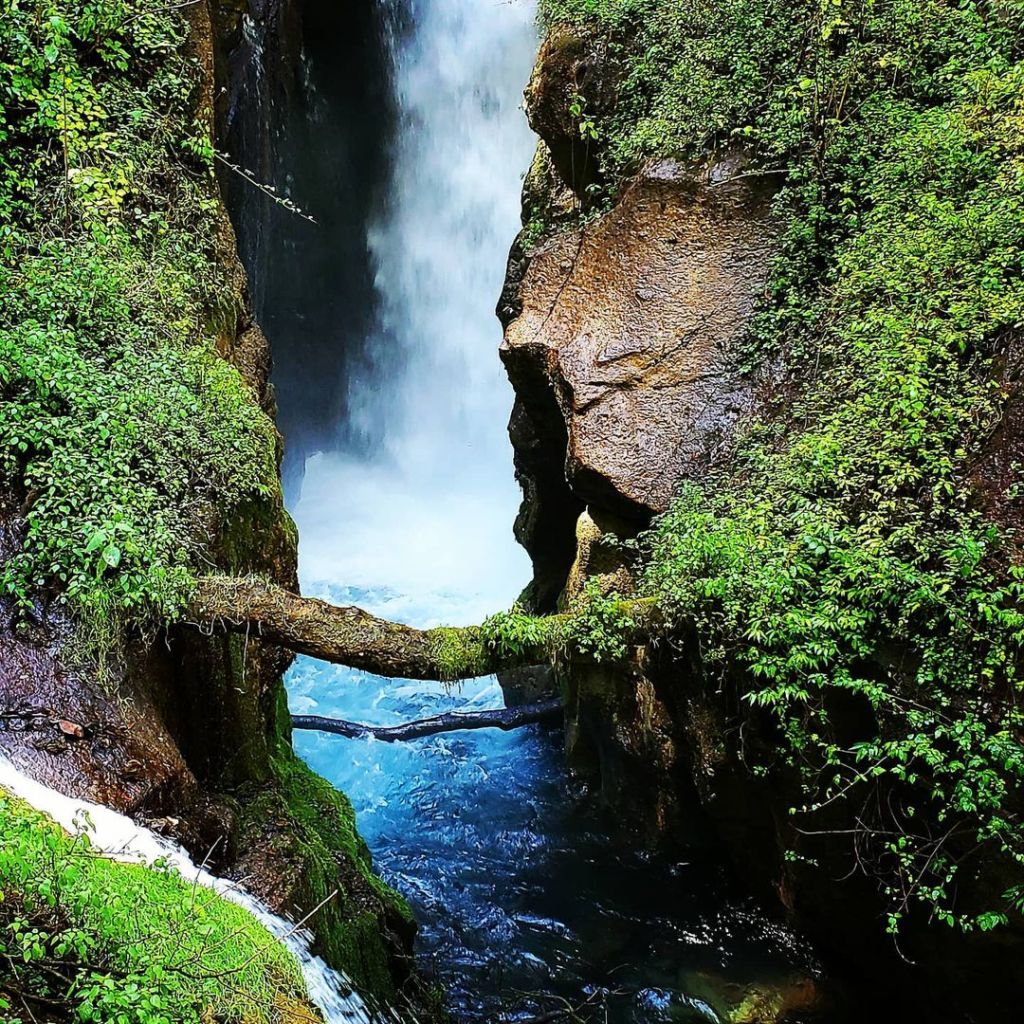 Este lugar con bosque, cascadas y ríos parece Bali pero es México