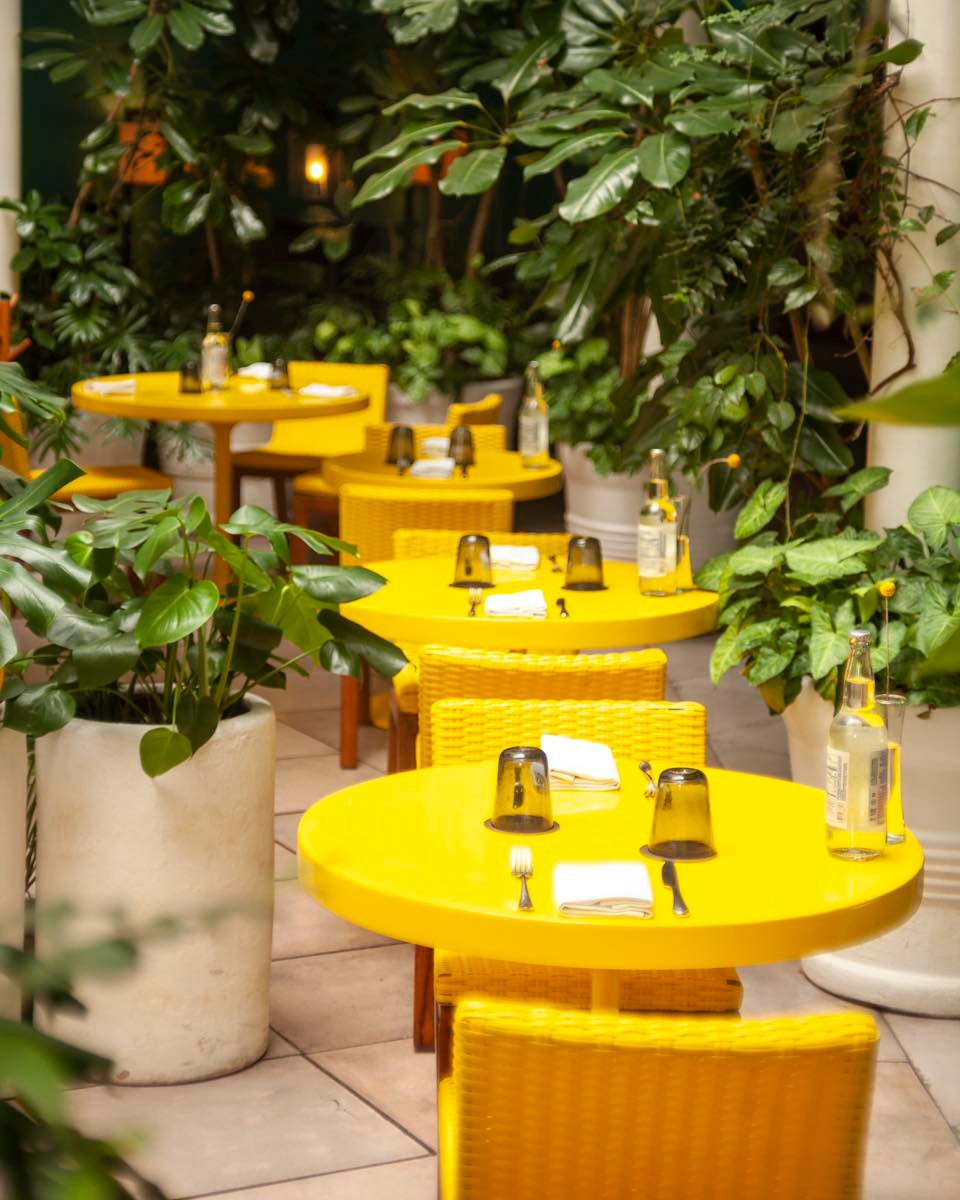 desayunos en la condesa