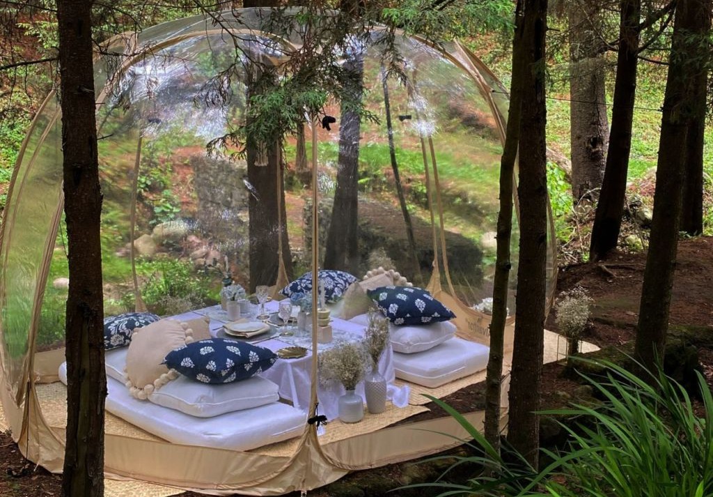 Bubble Picnic en el bosque: una experiencia culinaria única en el ‘spot’ más secreto de la CDMX