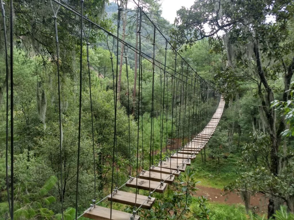 Tulimán: el destino de Puebla donde necesitas un ‘mapa del tesoro’ para hallar su gran cascada y puentes colgantes