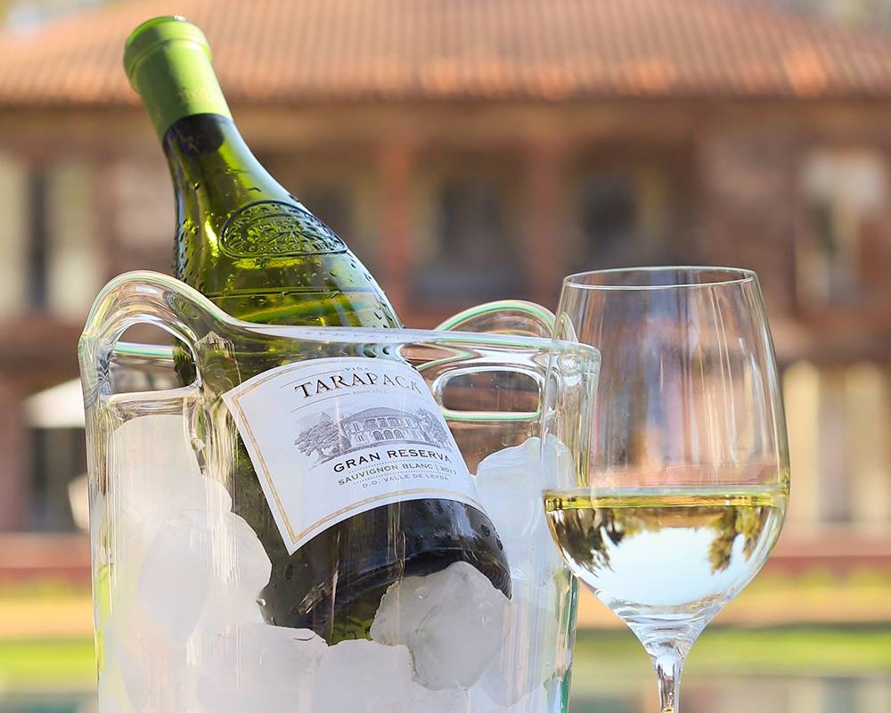 Viña Tarapacá: Un vino de compromiso sustentable y pionero de calidad enológica en Chile