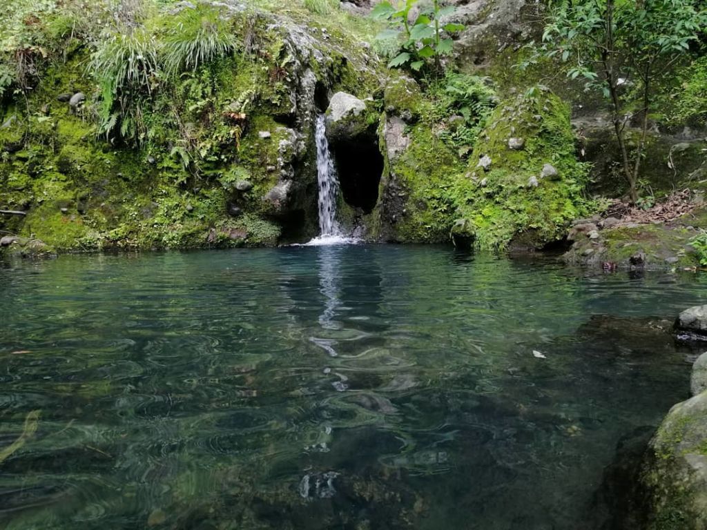 Poza Sagrada de Amatlán de Quetzalcóatl: el paraíso de aguas turquesa a 20 minutos de Tepoztlán