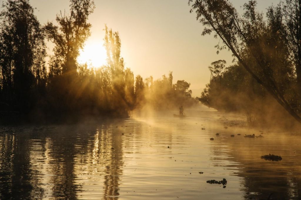 En este lugar podrás disfrutar de una experiencia mezcalera en medio de las chinampas de Xochimilco