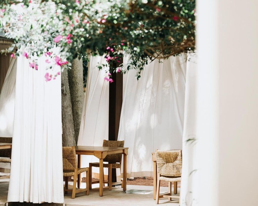 Criollo: Un menú evolutivo de permanencia prehispánica en Oaxaca