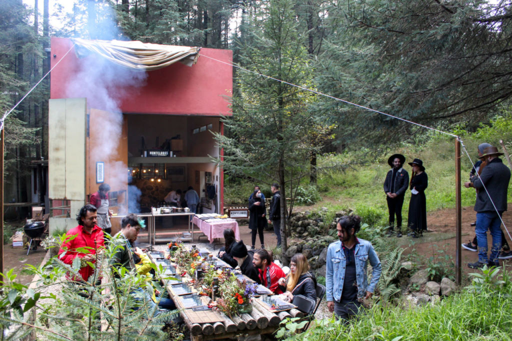 ¿Mezcal con amigos en medio del bosque? Te contamos dónde vivir esta experiencia