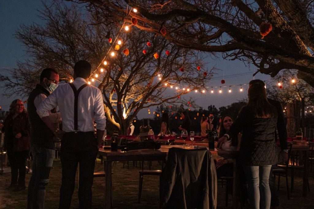 Visita un parque de luces navideñas cerca de la CDMX y acompaña la experiencia con una copa de vino