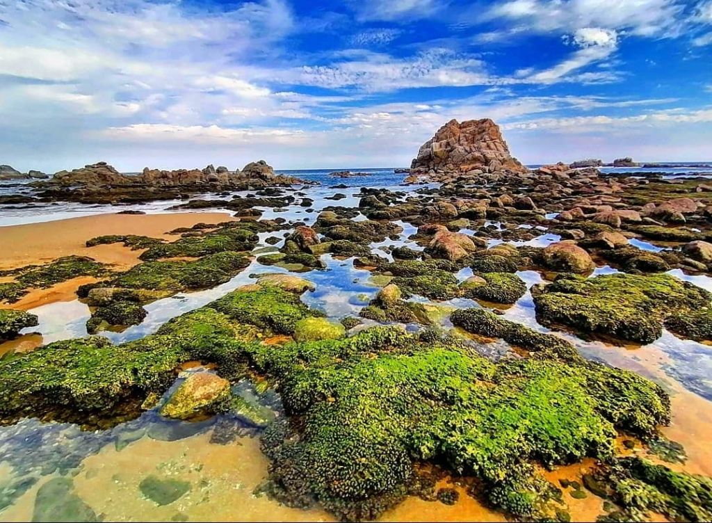 Playa Magueyito: arena dorada y miles de corales en una de las bahías más bellas de Huatulco